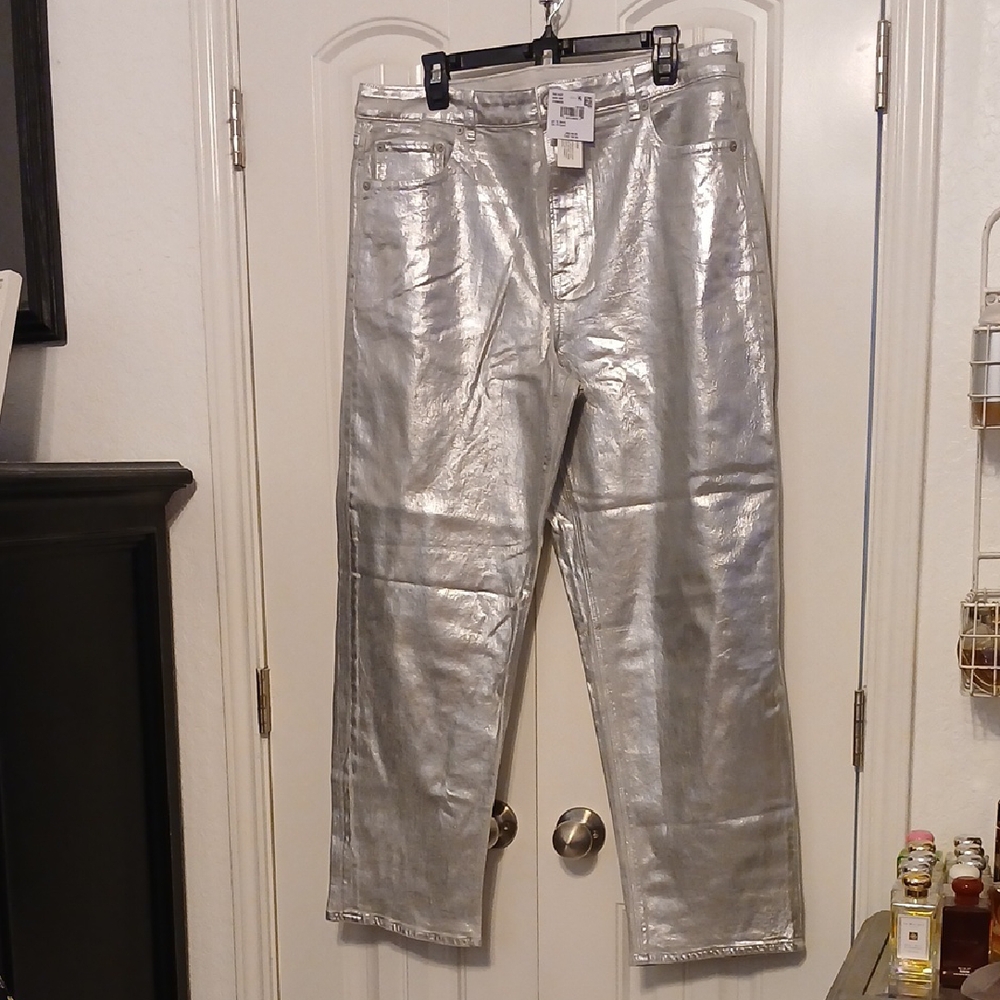 Shiny Silver Metallic Pants